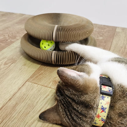 Planche à Gratter Magique Organique pour Chat